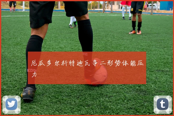 厄瓜多尔科特迪瓦争二形势体能压力