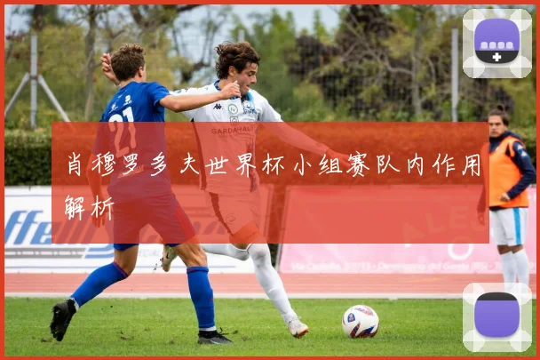 肖穆罗多夫世界杯小组赛队内作用解析