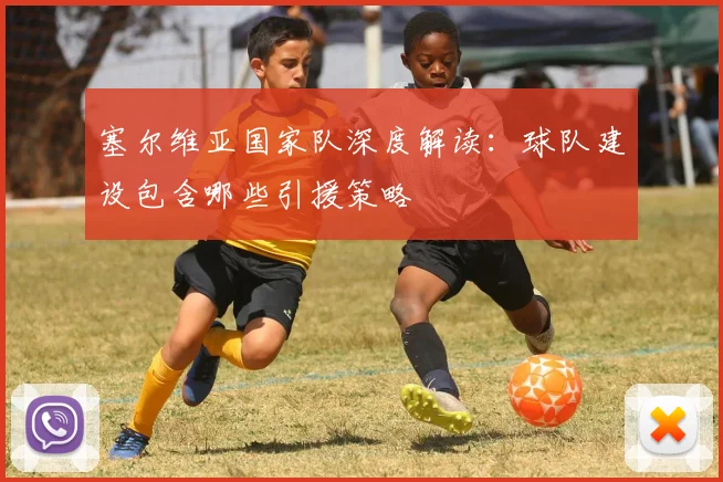 塞尔维亚国家队深度解读:球队建设包含哪些引援策略