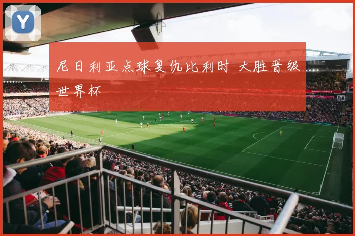 尼日利亚点球复仇比利时 大胜晋级世界杯