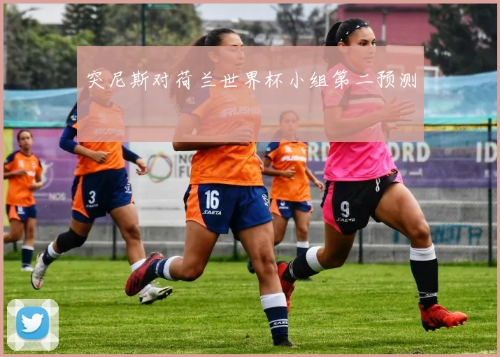 突尼斯对荷兰世界杯小组第二预测