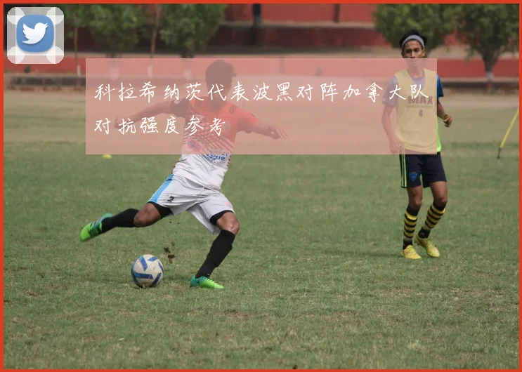 科拉希纳茨代表波黑对阵加拿大队对抗强度参考