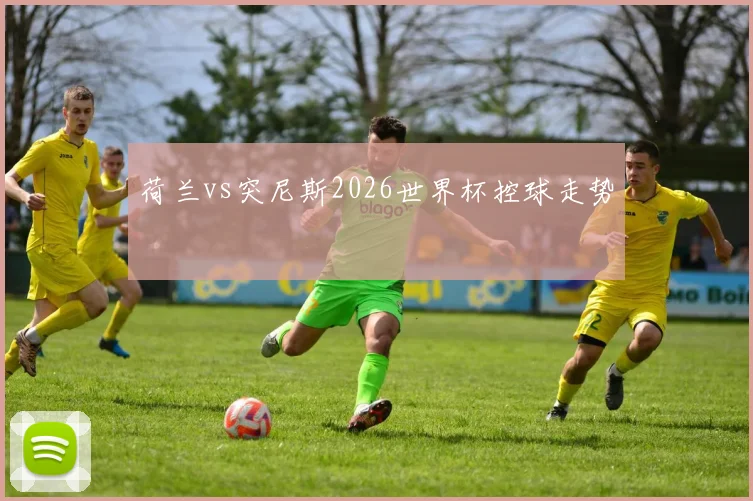 荷兰vs突尼斯2026世界杯控球走势