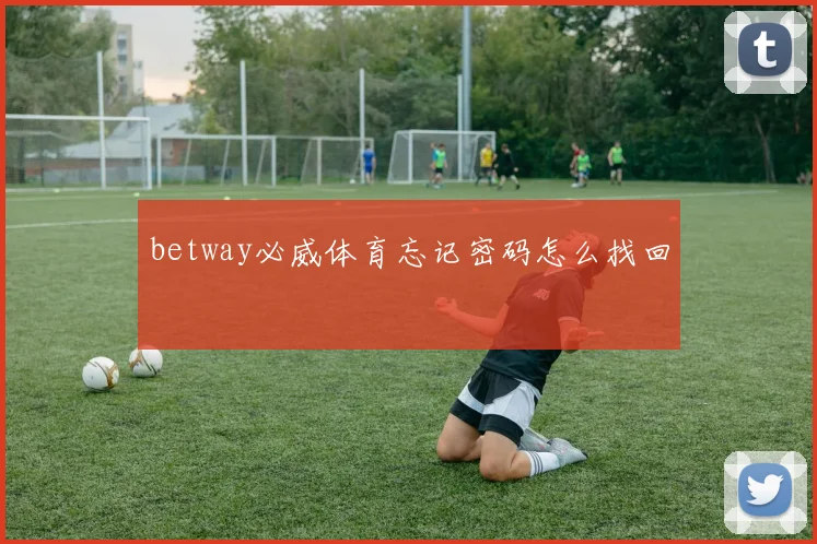 betway必威体育忘记密码怎么找回