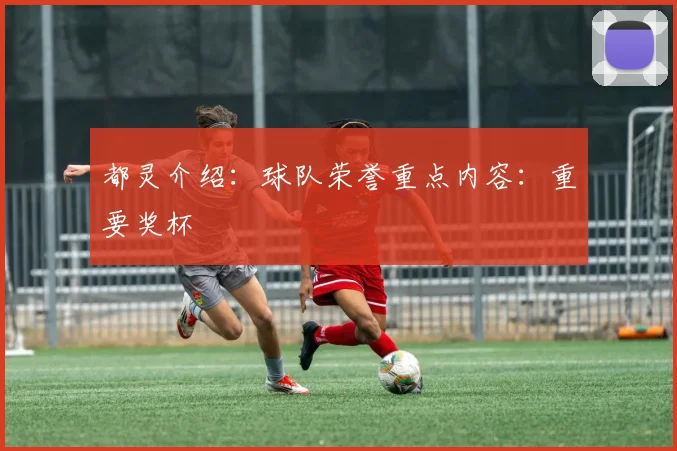 都灵介绍：球队荣誉重点内容：重要奖杯